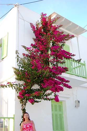 Paros_19