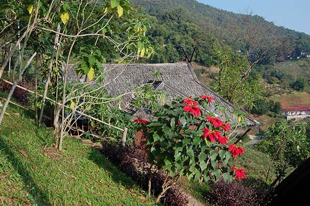 Chiang Mai_80