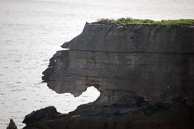 Punakaiki_12