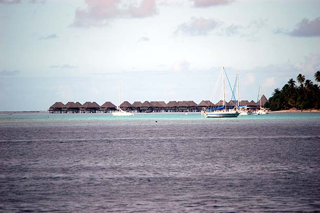 Moorea_11