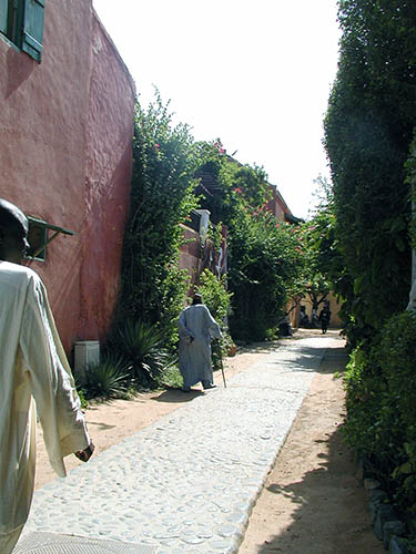 Ile Gorée_17