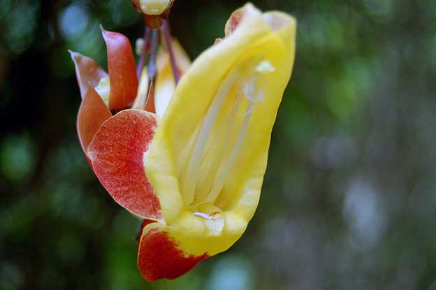 Tour de la isla_34